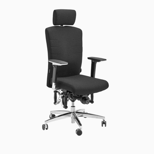 Gesundheits Bürostuhl Haider Bioswing 560 iQ - Ergonomie-Onlineshop Produktbild