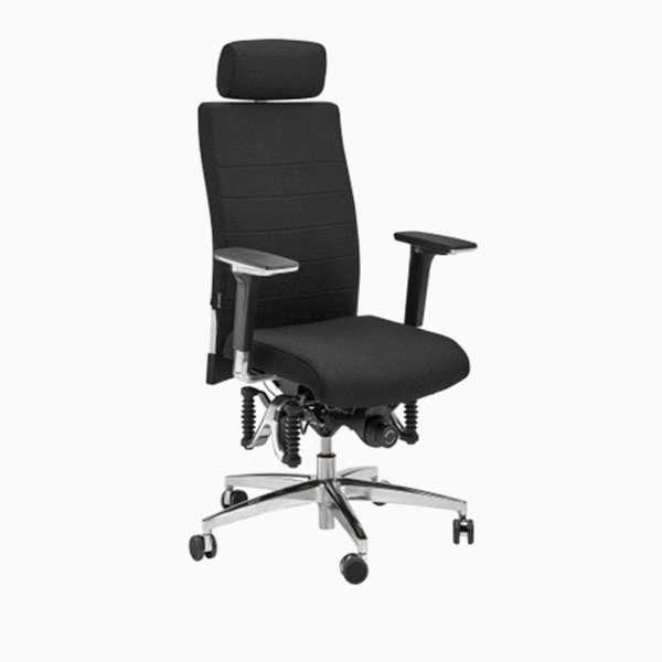 Orthopädischer Bürostuhl Bioswing 660 iQ - Ergonomie-Onlineshop Produktbild