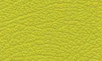 Image Bambach Sattelsitz Echtes Leder Lime Green #062