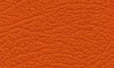 Image Bambach Sattelsitz Echtes Leder Orange #063