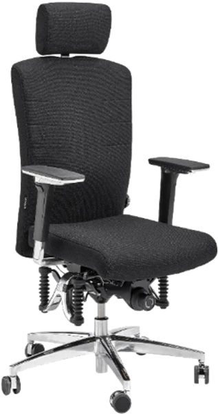 Image - Bürostuhl mit Nackenstütze Bioswing 560 iQ Stoffvariante