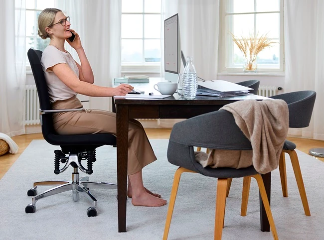 Image Home Office Stuhl Bioswing Loop der Stuhl für Home Office